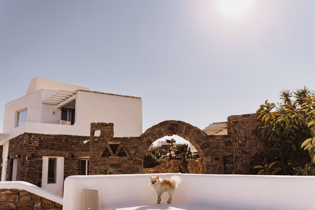Ślub na Mykonos Zdjęcie nr. 26