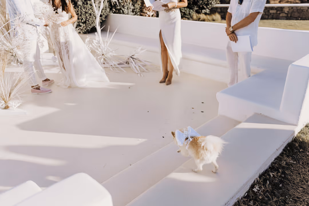 Ślub na Mykonos Zdjęcie nr. 40